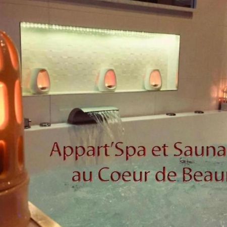 Appart' Spa Et Sauna Privatif Au Coeur De Beaune Bagian luar foto
