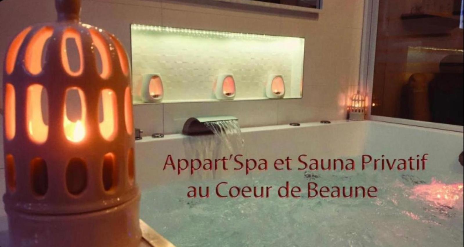 Appart' Spa Et Sauna Privatif Au Coeur De Beaune Bagian luar foto