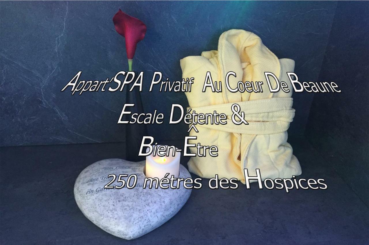 Appart' Spa Et Sauna Privatif Au Coeur De Beaune Bagian luar foto
